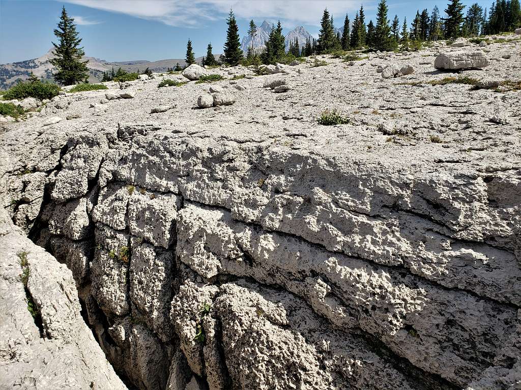 The Tetons and cracks in the mudstone