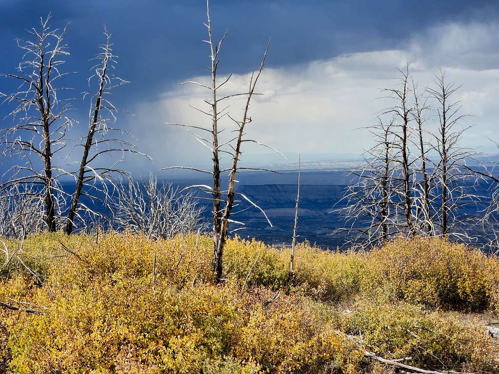 Threatening Storm Clouds and Ghost Forest on Texas Mountain