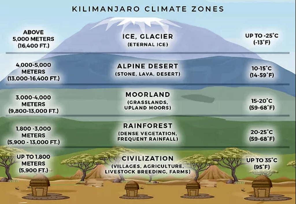 Kilimanjaro Climate Zones