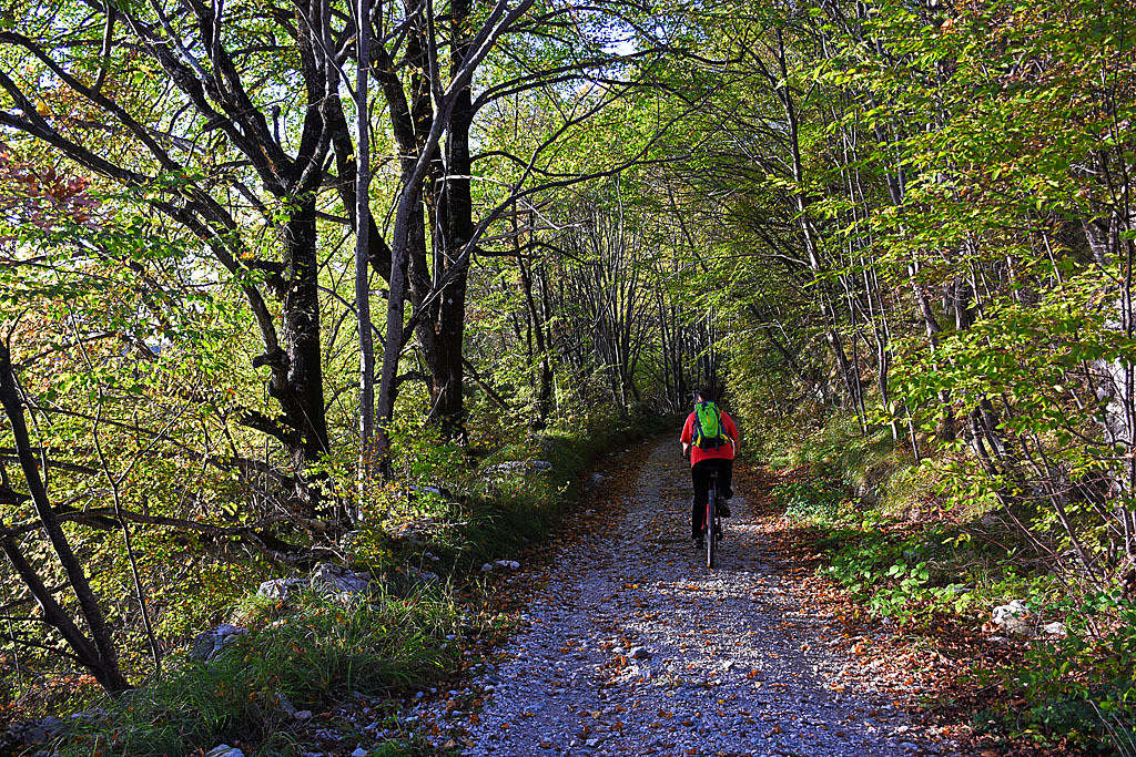 A fast return to Brgudac village