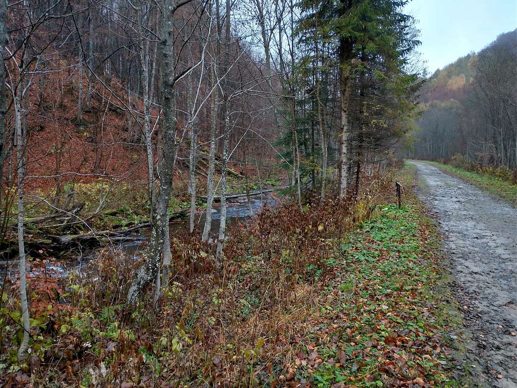 Road to Bukowska Pass
