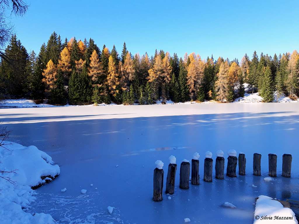 Tret Lake, ice and larches