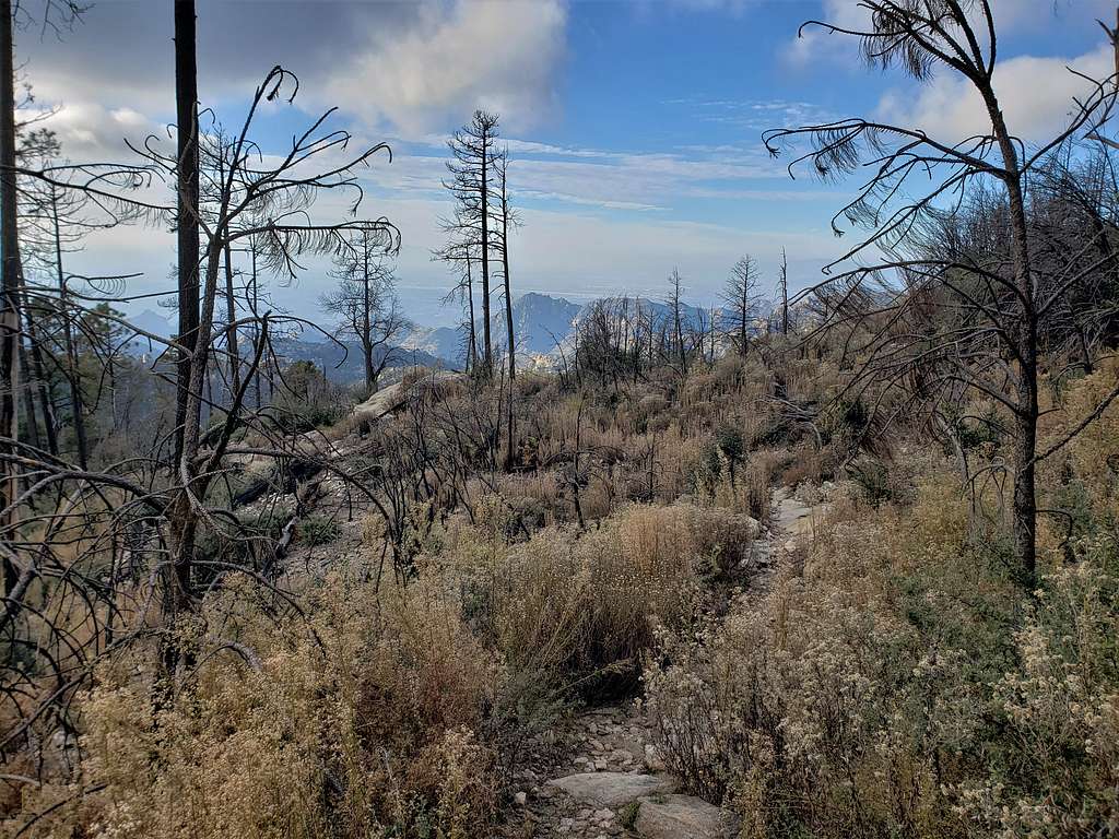 Rattlesnake Peak