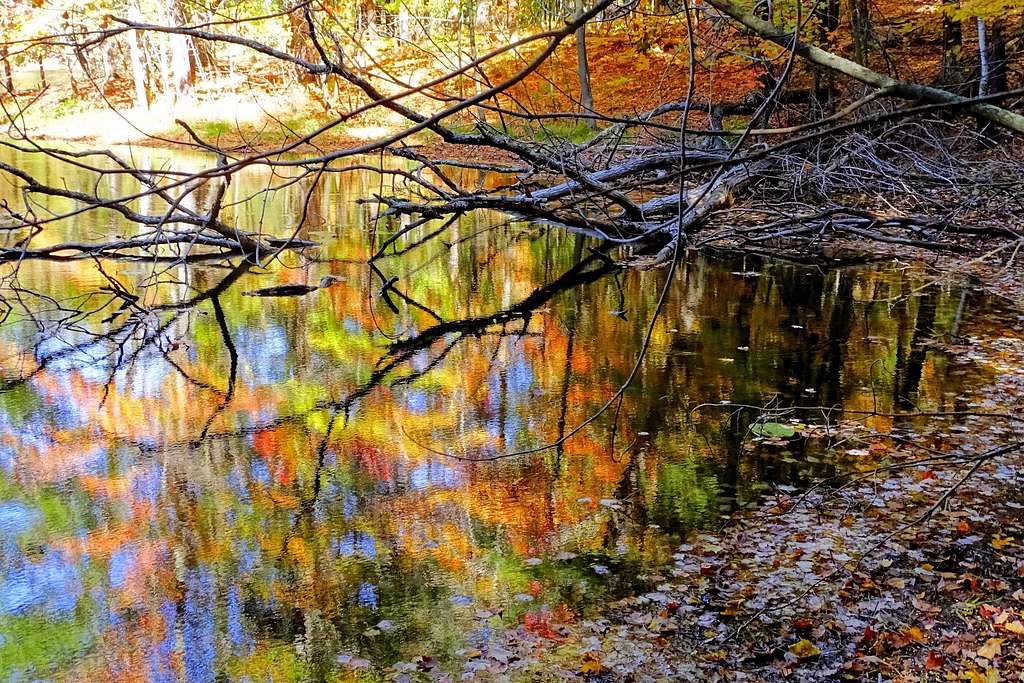 Autumn Reflections Along the Trail