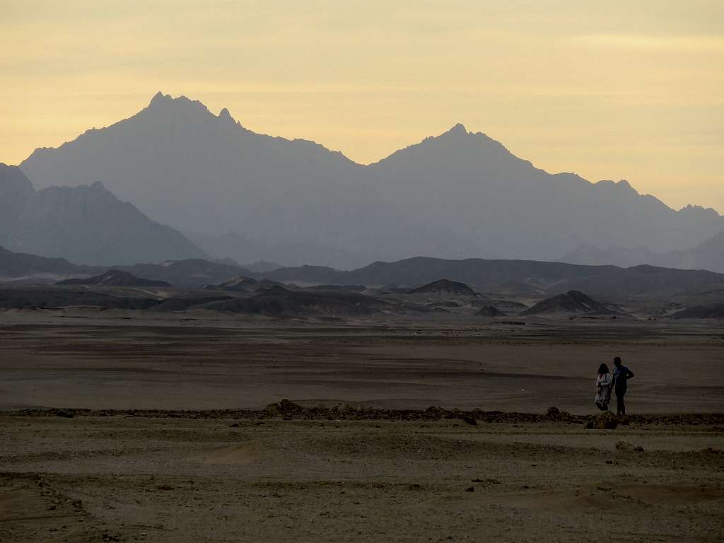 Sahara walkers