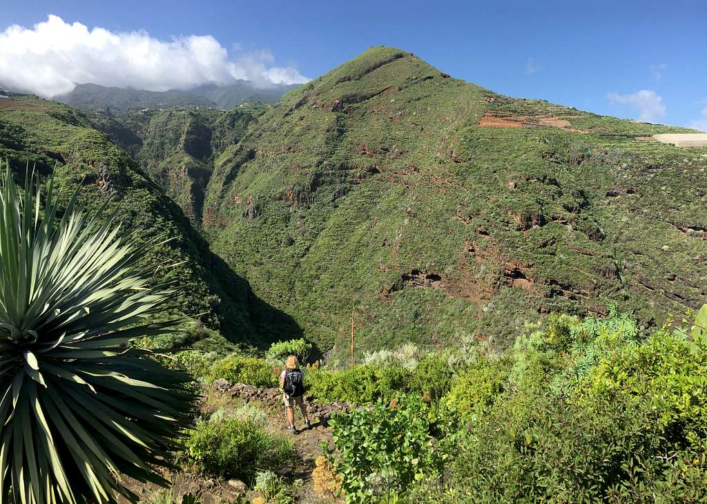 La Galga (439m), La Palma