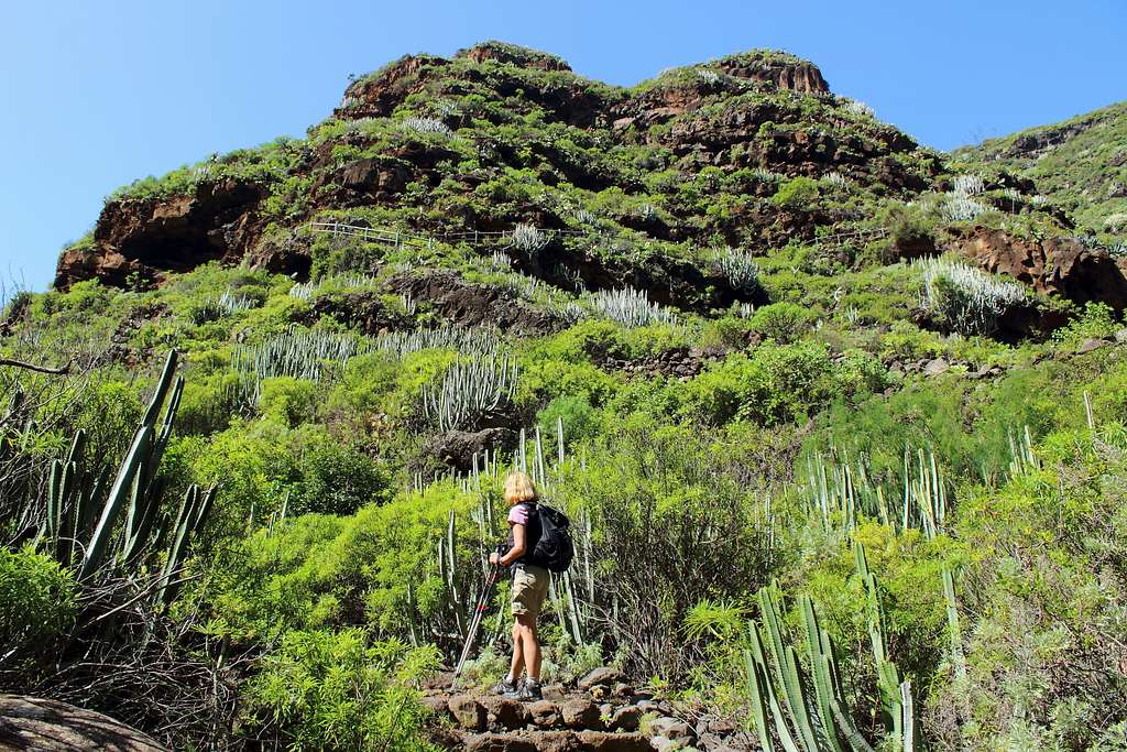 Barranco de Nogales, La Palma