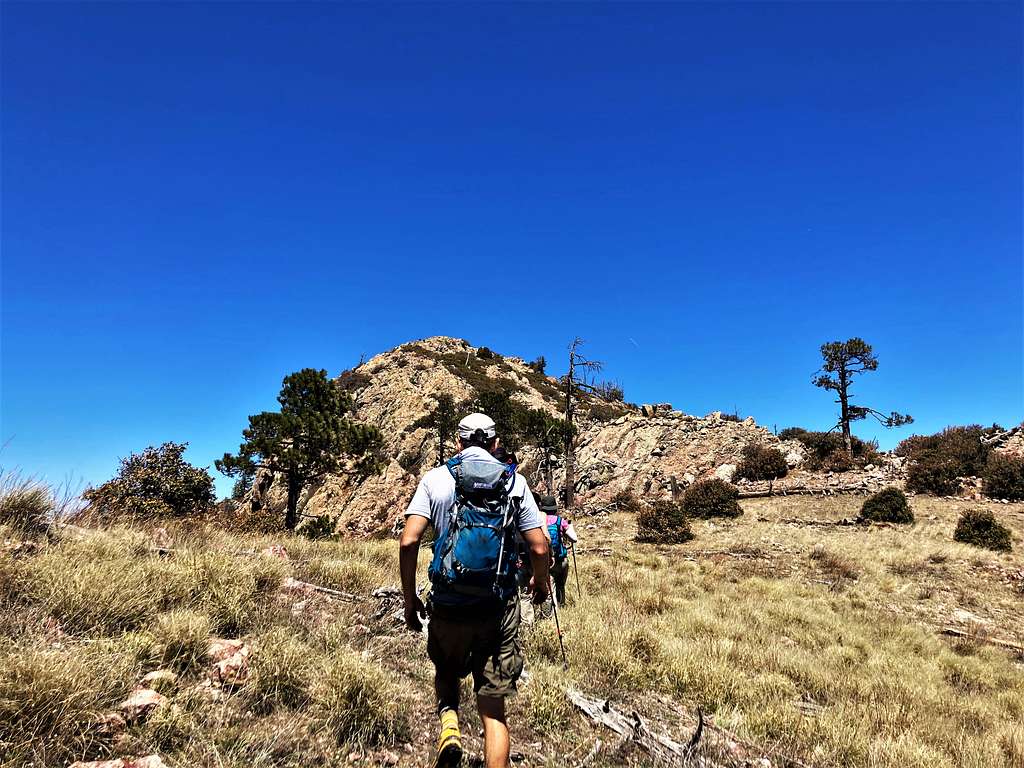 Open off-trail section towards the summit