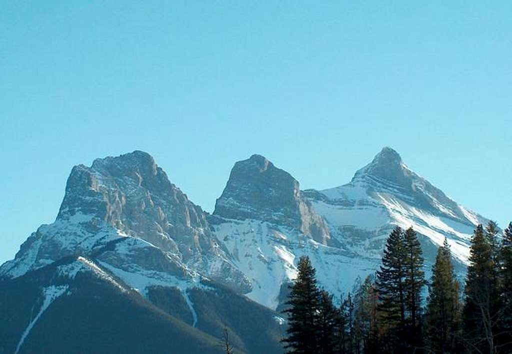 Three Sisters from Lady...