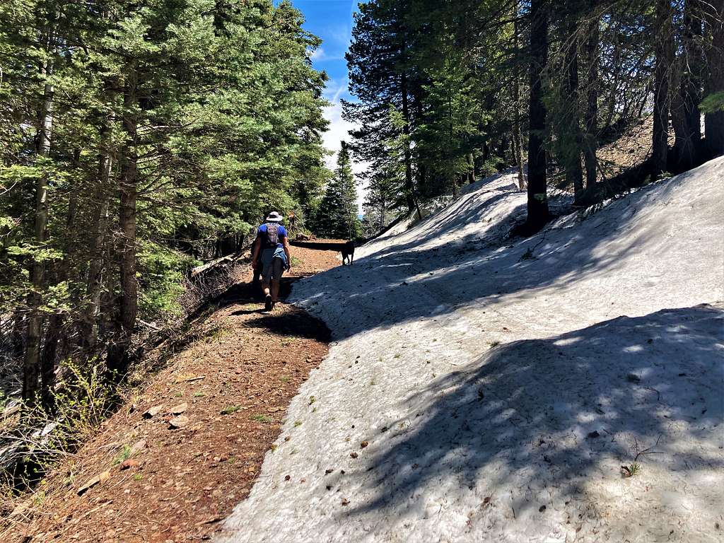 Just below the summit, with some remaining snow.  May 7, 2023.