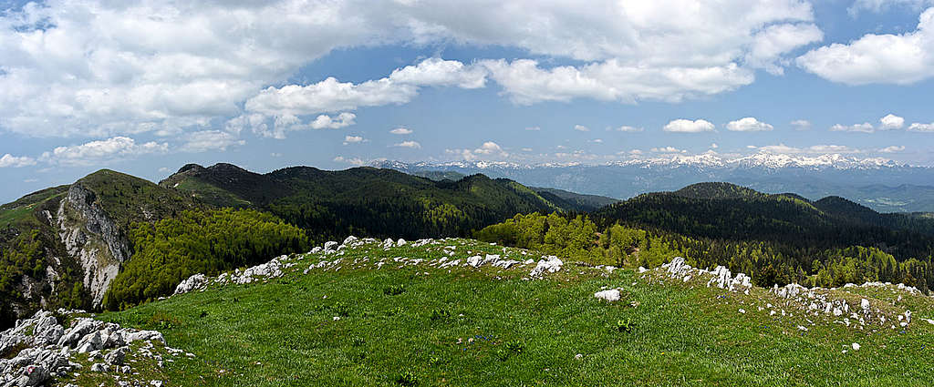 Kosmati vrh W panorama