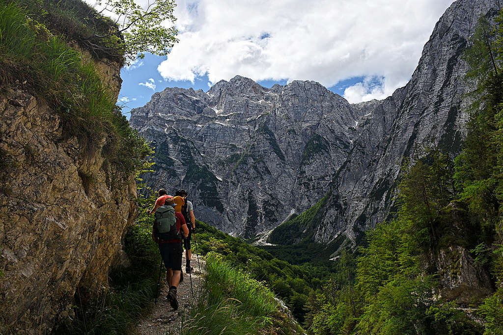 On the trail from Zadnjica to Pogacnik hut