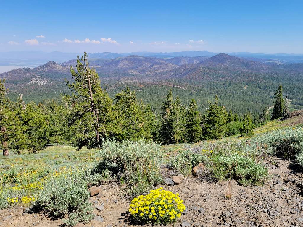 Early summer in the Diamond Mountains, viewed from Thompson Peak