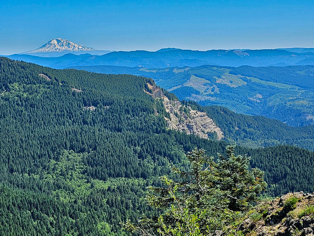 Mt. Adams from the summit of Table Mountain