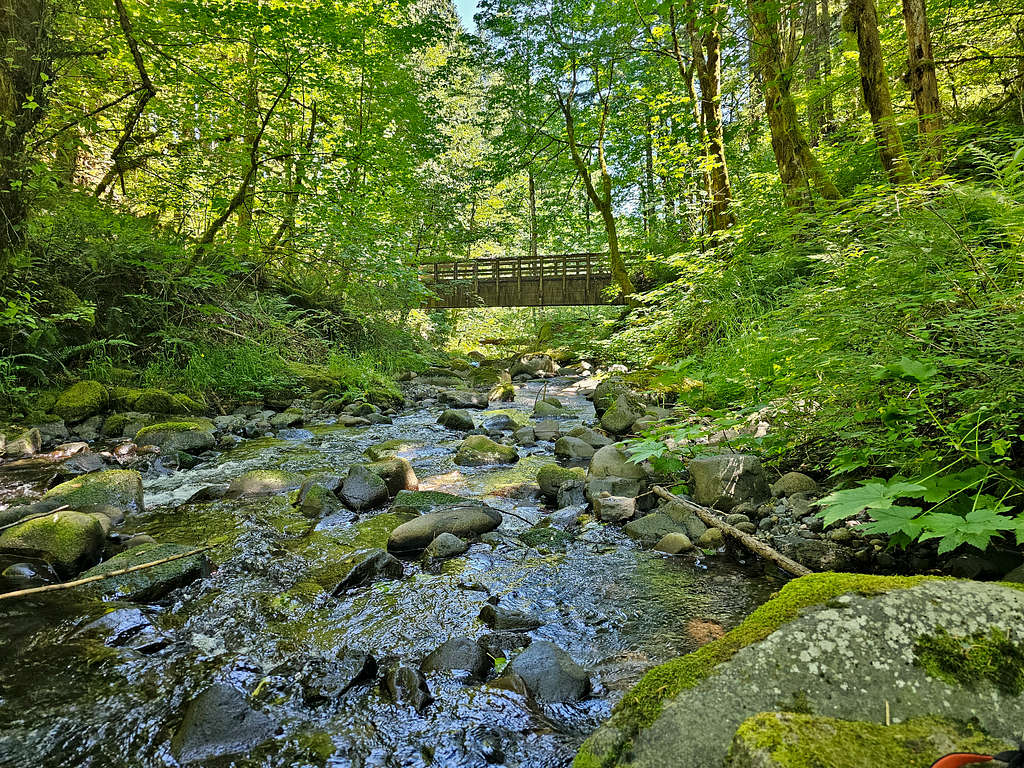 Greenleaf Creek Bridge