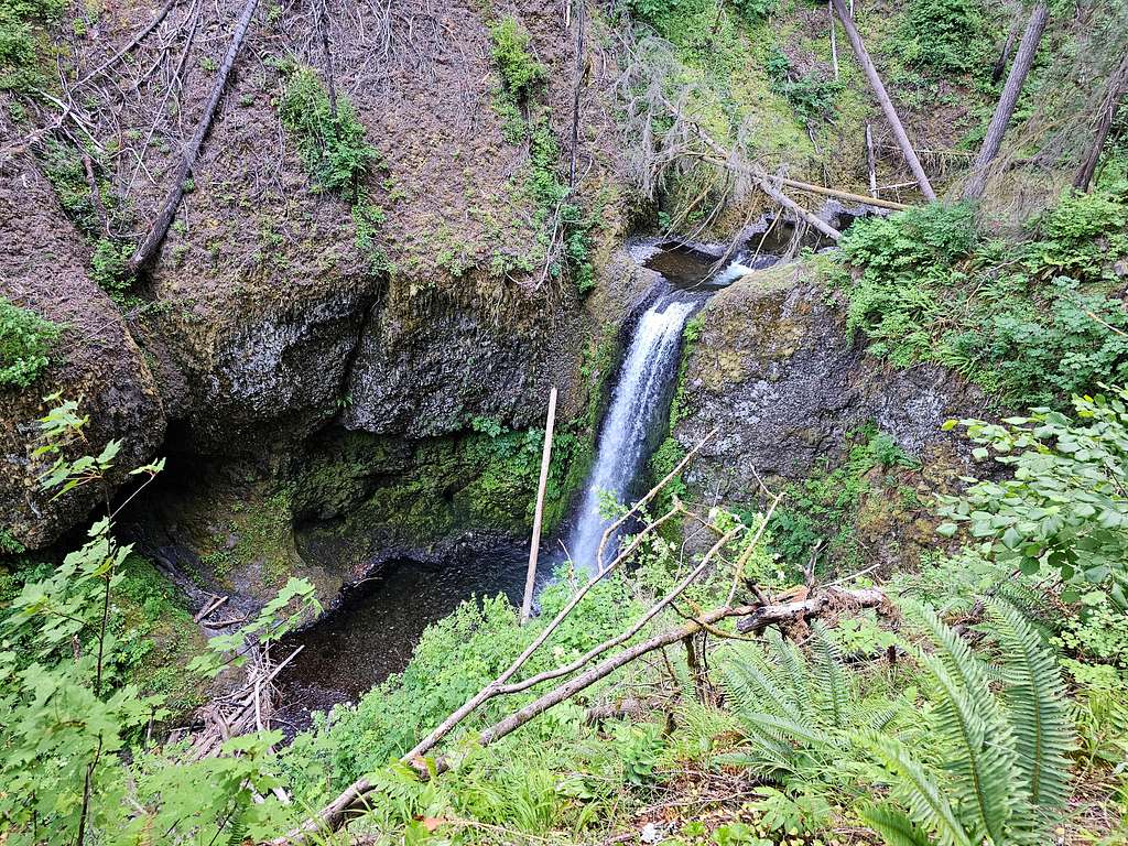 Wiesendanger Falls, Larch Mountain Trail, Multnomah Creek