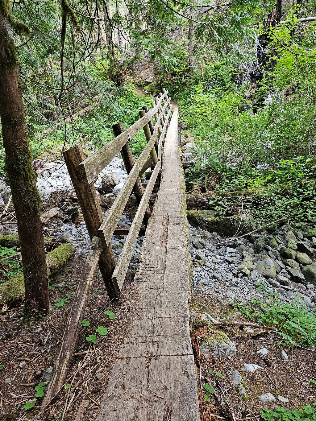 Bridge on Larch Mountain Trail