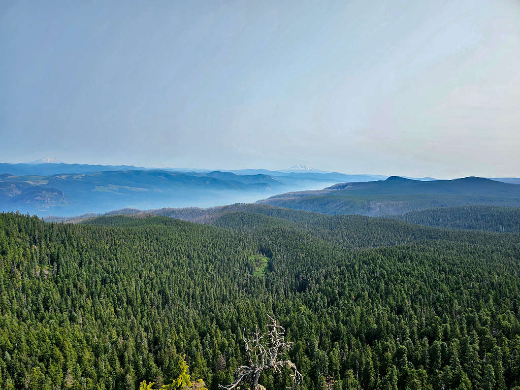Mt. Adams and smoke filled Columbia River Gorge from the summit of Larch Mountain
