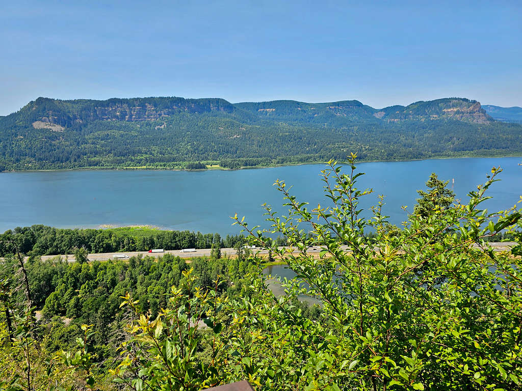 Lemmons Viewpoint