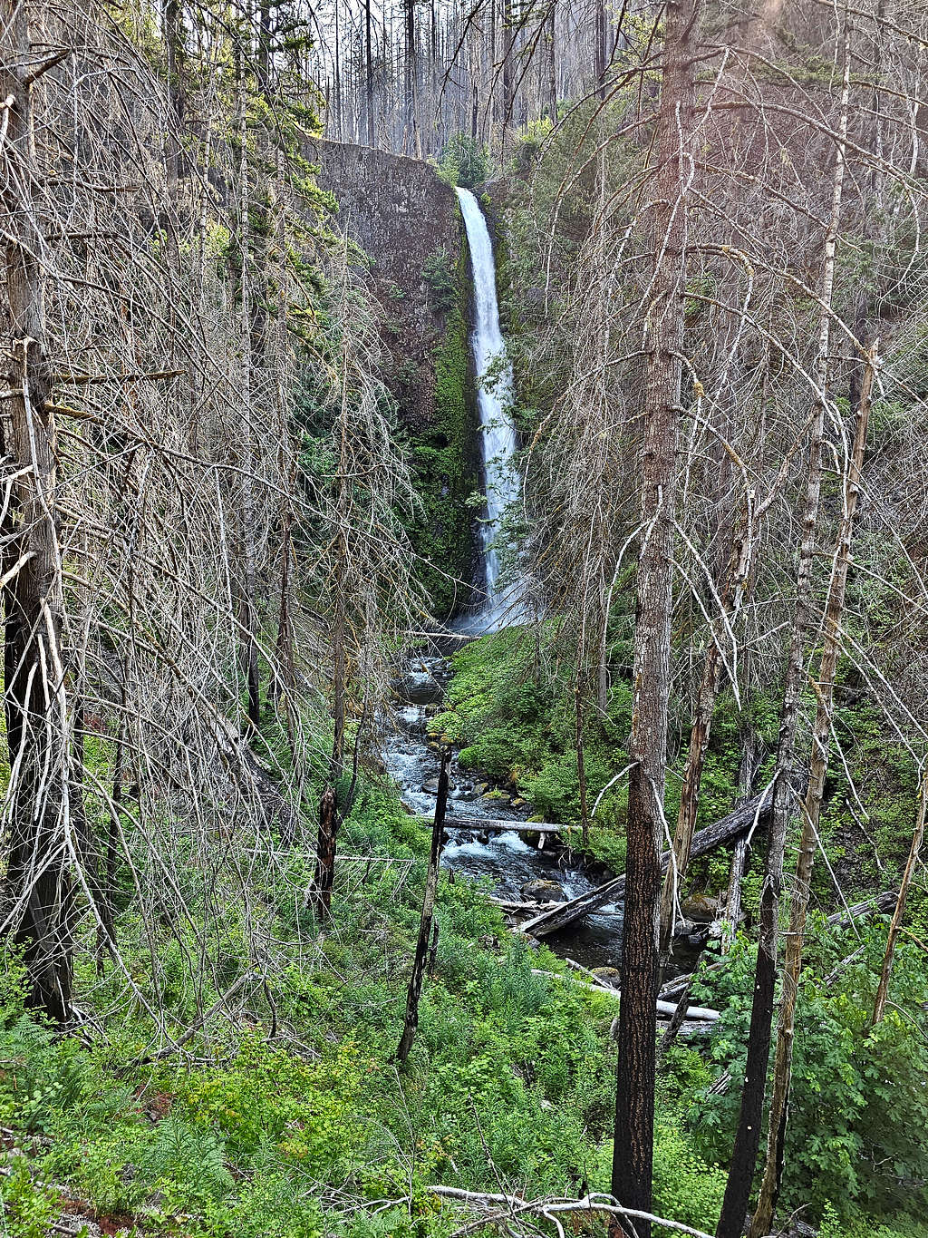 First view of Tunnel Falls