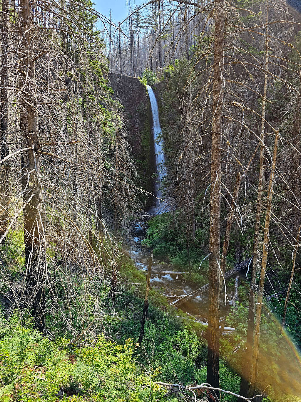 Last view of Tunnel Falls