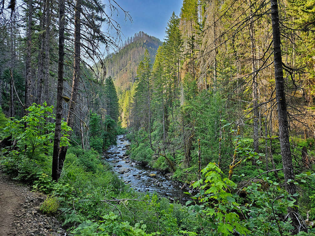 Eagle Creek Canyon