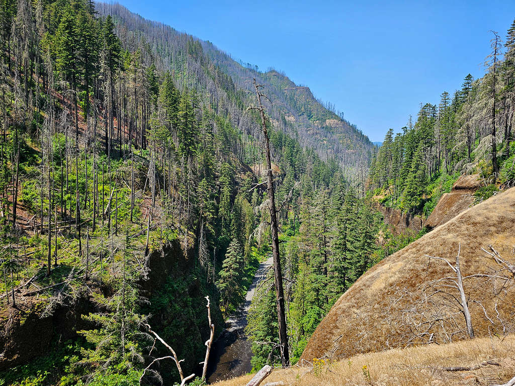 Eagle Creek Canyon