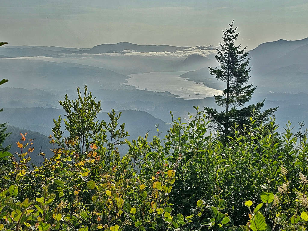 Columbia River from the summit of Hamilton Mountain