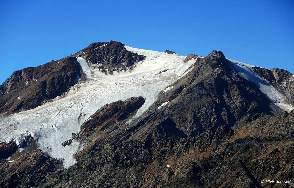 Monte Vioz seen from Refuge Larcher