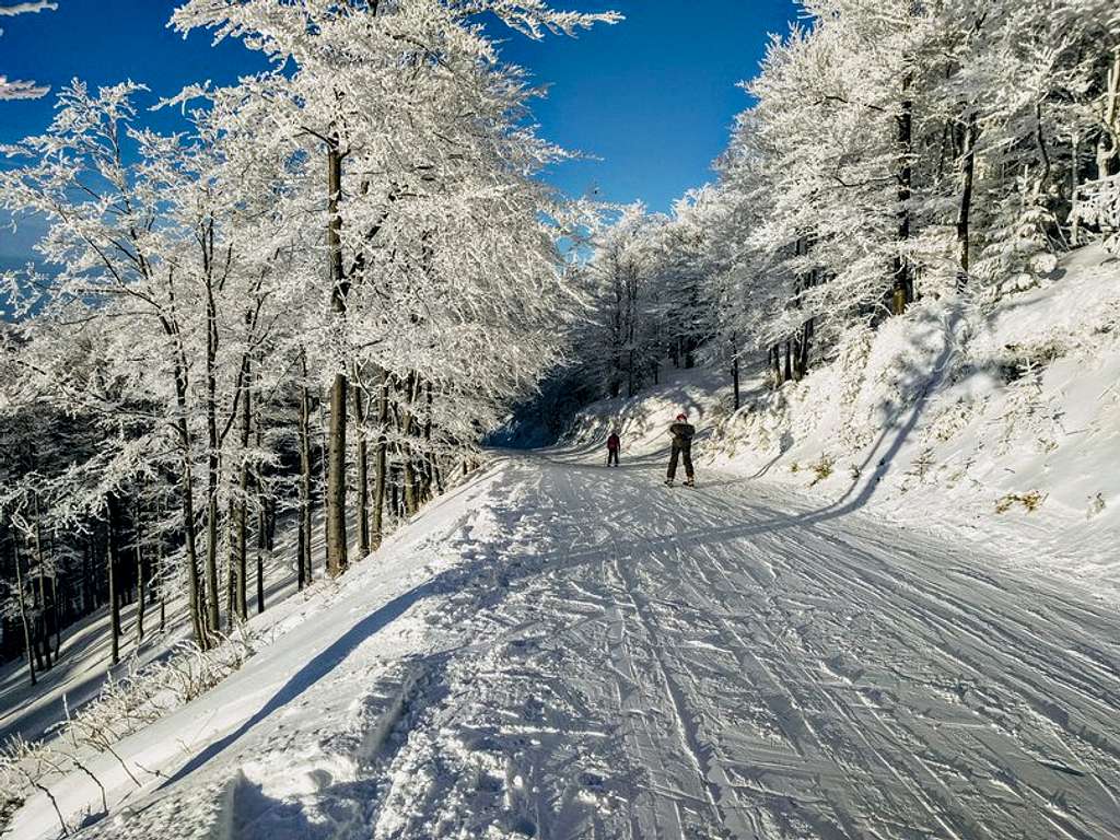 Skiing_in_Poland.max-835x606