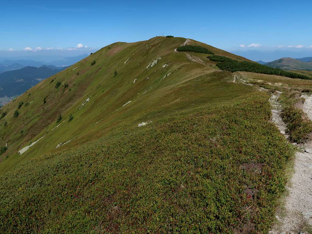 Summit of Veľká Chochuľa from S