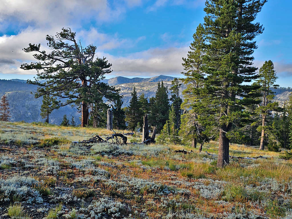 Ralston Peak