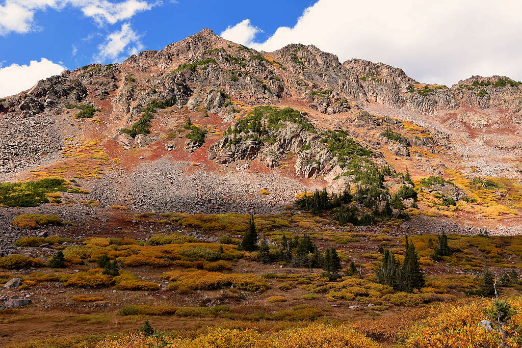 Colorado fall colors