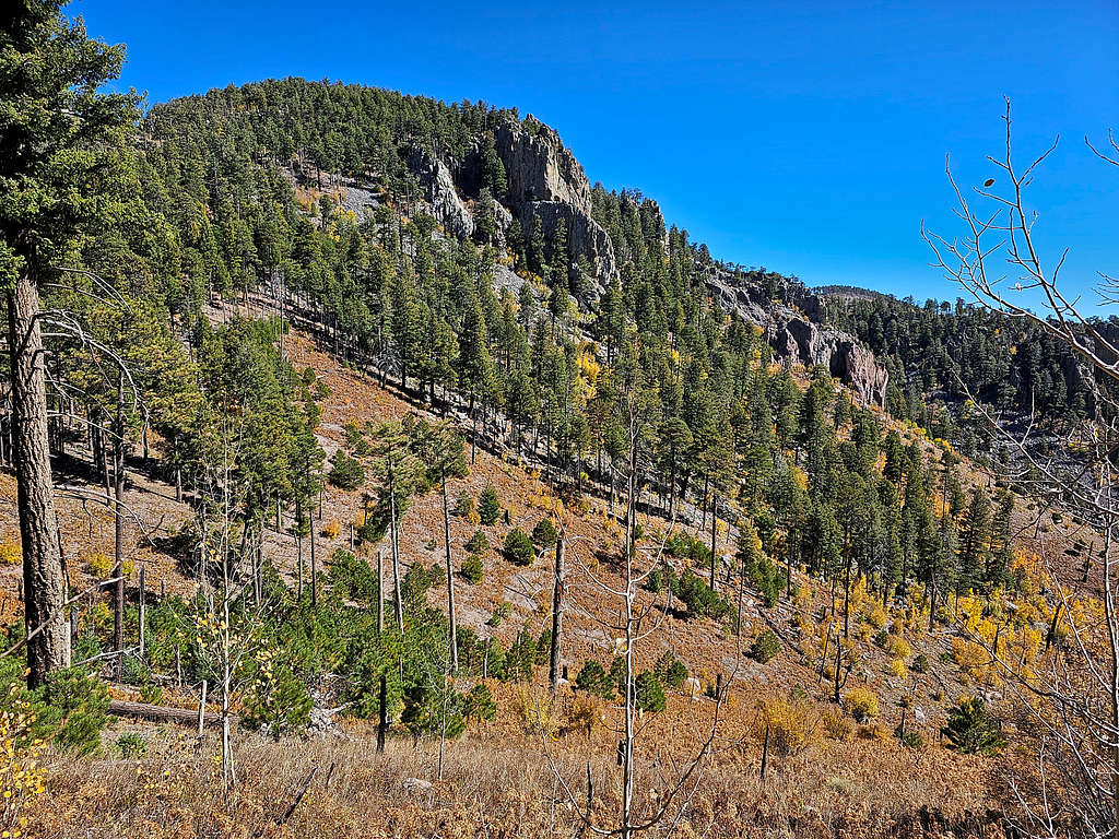 Chiricahua Peak, southwestern face