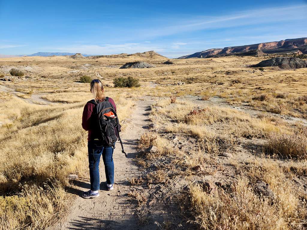 Along the Fruita Paleo Trail