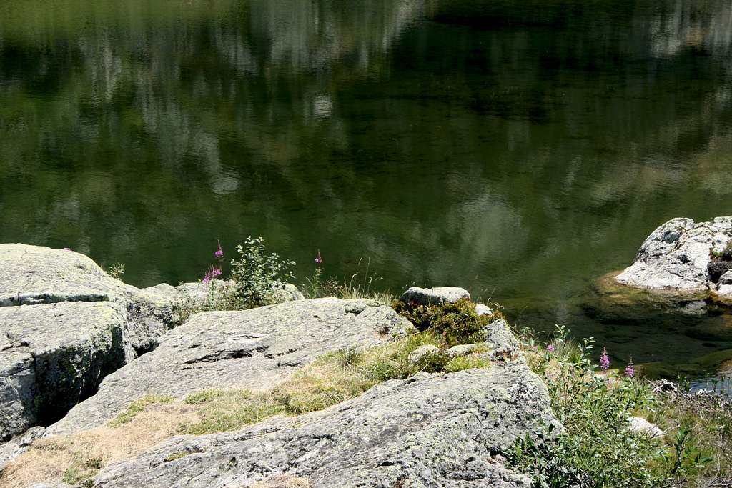 Lac Faucille et fleurs