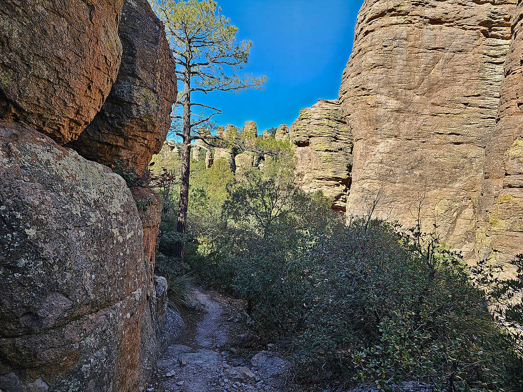 Heart of the Rocks Trail