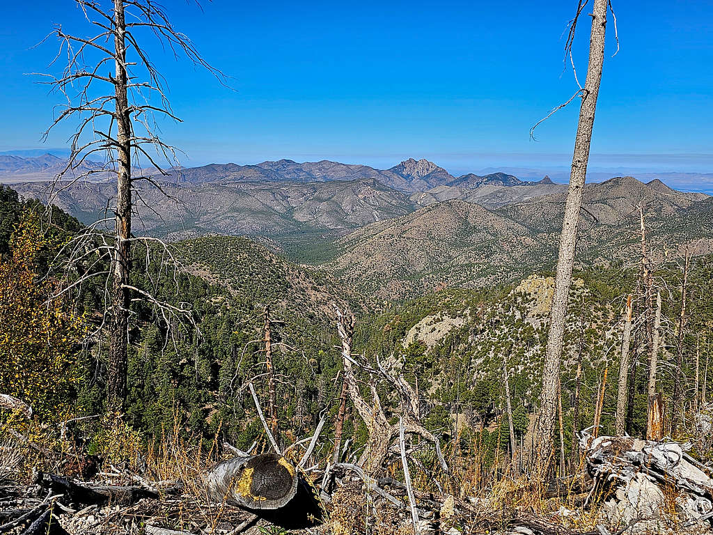Timber and South Timber Mtn, middle, the jagged peak is Cochise Head