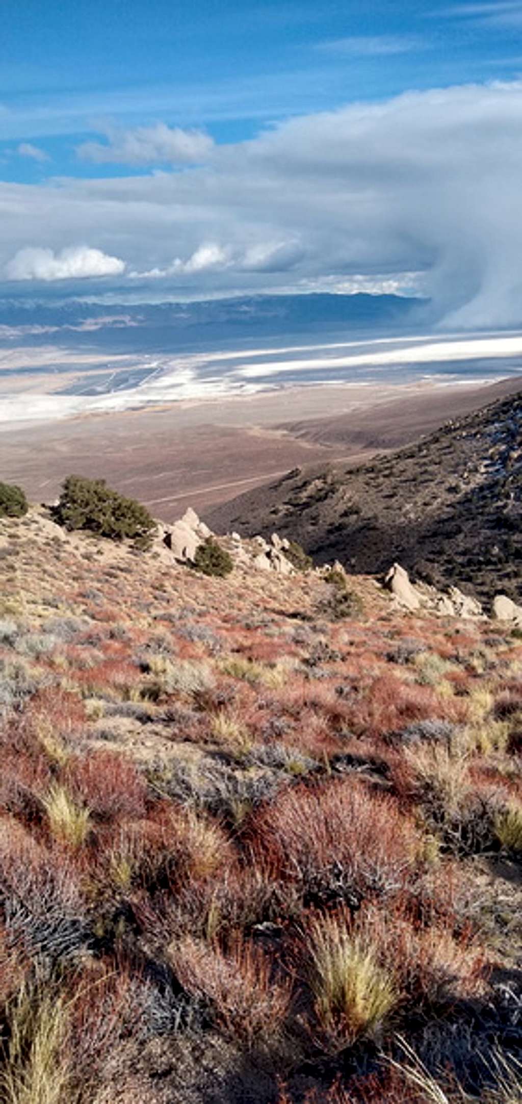 Foothills of Langley % Owens Valley