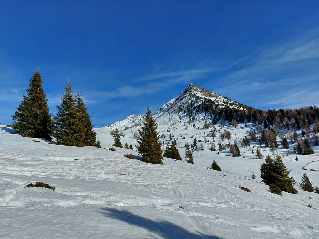 Rudlhorn seen from Alpe Tesido
