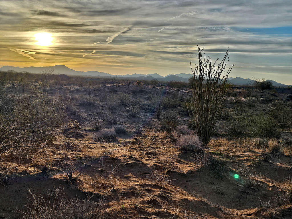 Harcuvar Peak, East Cactus Plain, AZ