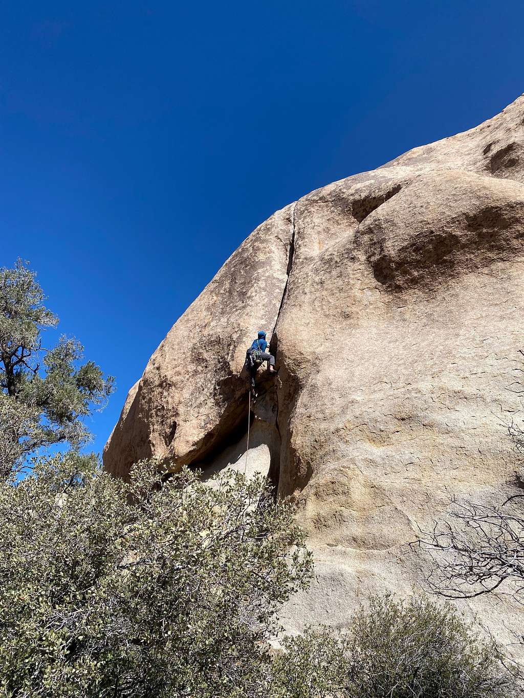Insolvent, 5.10b