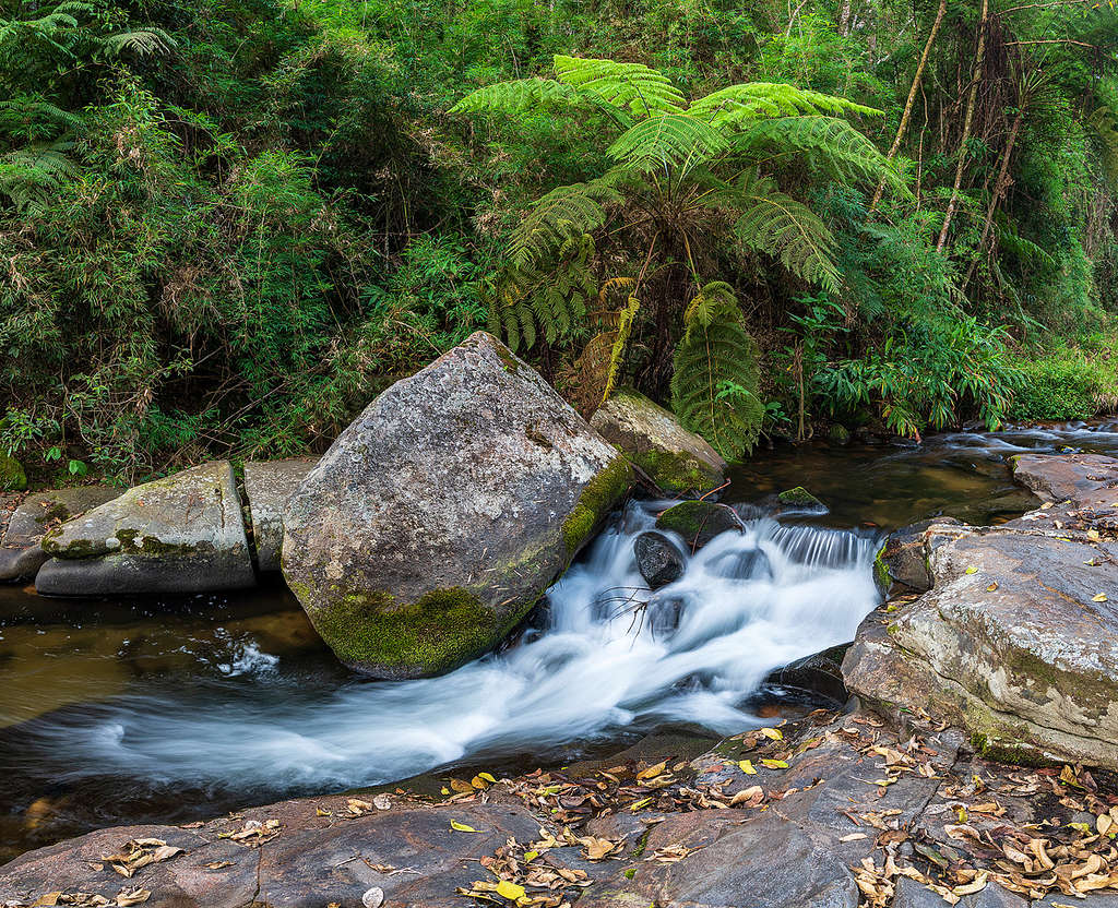 rio dos frades