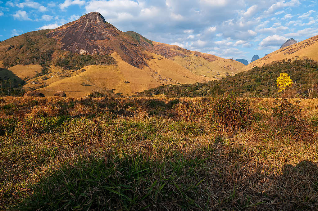 vale dos frades