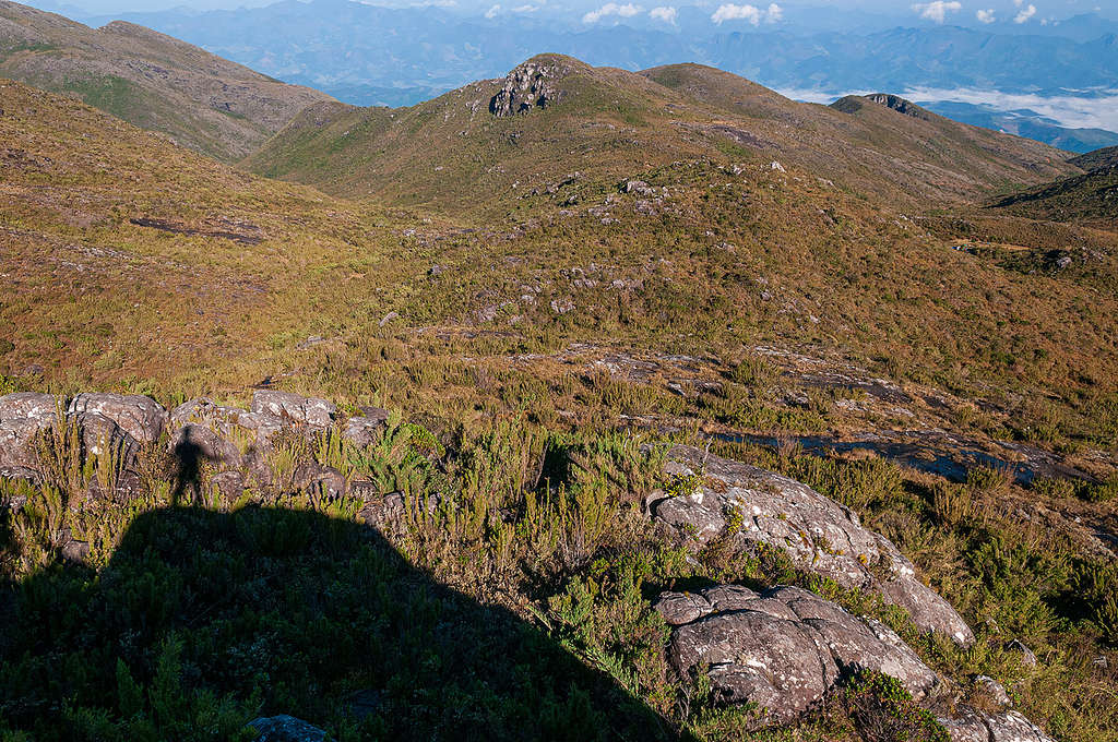 campo de altitude