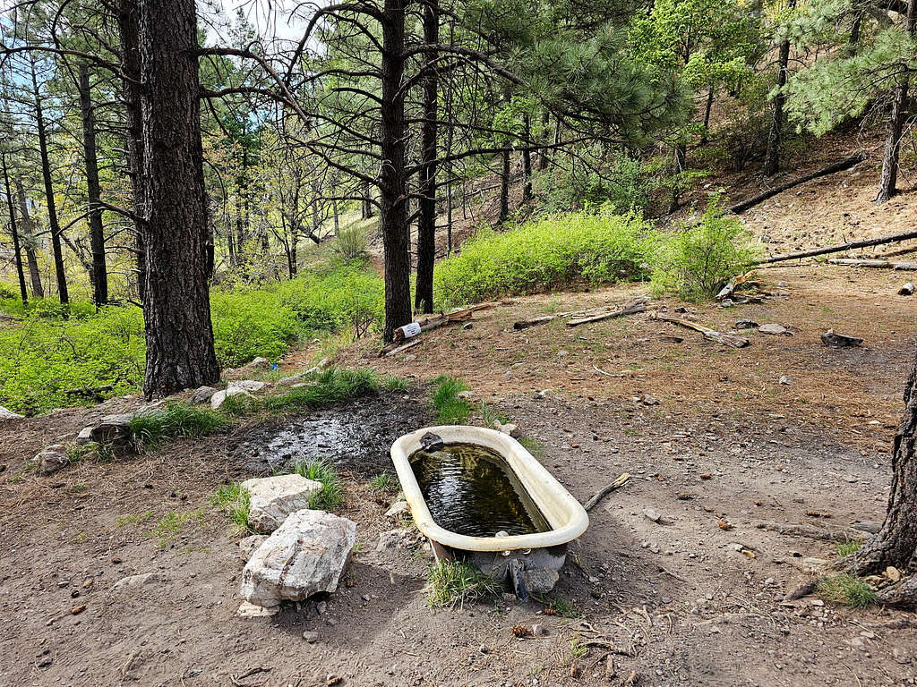 Bathtub Springs