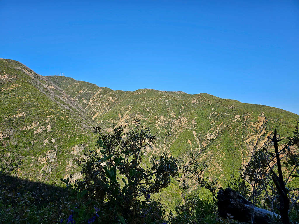 Santa Ynez Peak