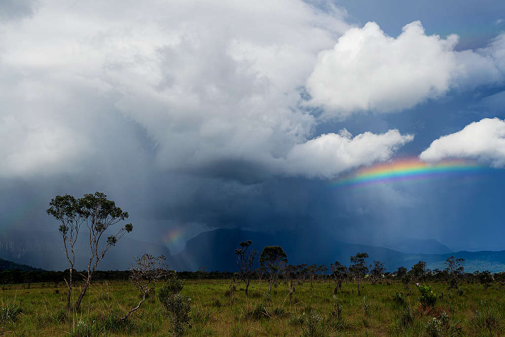 Padapué Tepui