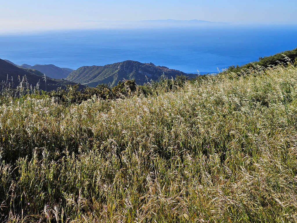 Ocean from the 2280 ft saddle