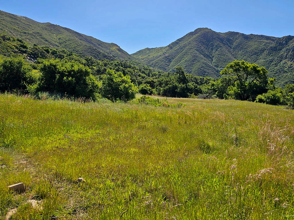 On Gaviota Trail